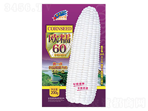 ŷŴ60-��������-��һ��ҵ