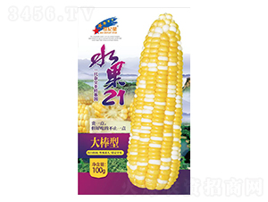 ˮ��21-��������-��һ��ҵ