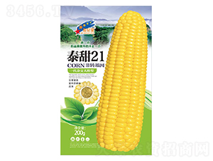 ̩��21-��������-��һ��ҵ
