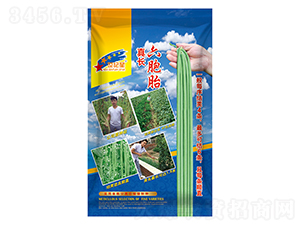 �泤����̥-��������-��һ��ҵ