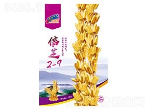��֥2-9-֥������-��һ��ҵ