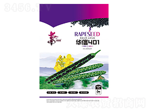����401-�Ͳ�����-��һ��ҵ