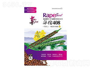 ����408-�Ͳ�����-��һ��ҵ