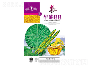 ����88-�Ͳ�����-��һ��ҵ