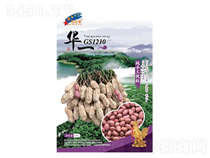 GS1210-��������-��һ��ҵ