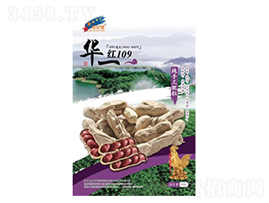 ��109-��������-��һ��ҵ