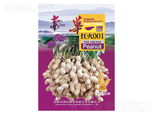 ��һ���001-��������-��һ��ҵ