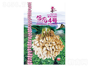 �Ż�4��-��������-��һ��ҵ