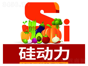�趯��-���´�