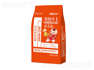 ����ţ����ֳ�����ˮ�ܷ�12-3-25-��̩��ţ