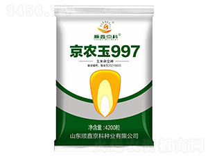 ��ũ��997-˳�ξ���-ũ����