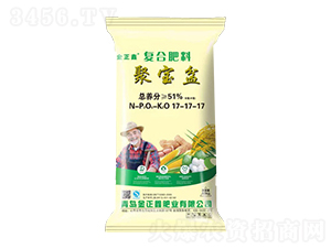 �۱��踴�Ϸ���17-17-17-������