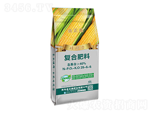 �趯�����Ϸ���28-6-6-������