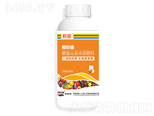 1000ml�Ǵ���-���-�Ͷ����