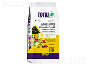 �����������10-4-40+Ca+TE-�̰�ũ��