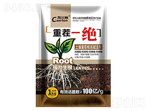 �ز�һ��-������-�̰�ũ��
