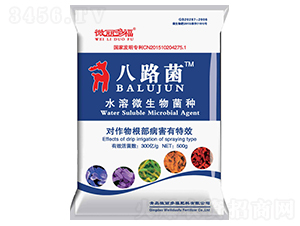 ˮ��΢������֣�500g��-��·��-΢���ร