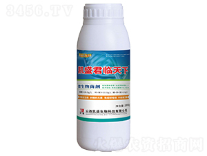 1000g��ʢ��������΢�������-̽·�ȷ�-��ʢ
