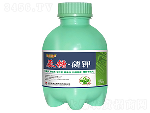 ���ǡ��׼�250g-̽·�ȷ�-��ʢ