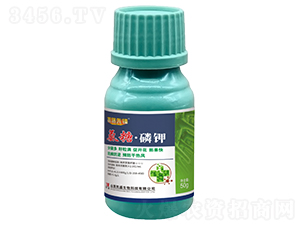 ���ǡ��׼�50g-̽·�ȷ�-��ʢ
