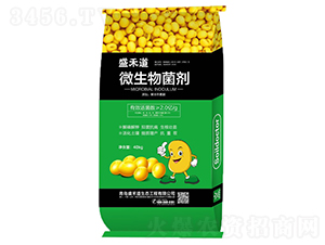2�ڻ��΢�������-ʢ�̵�
