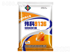 ��������-ΰ��9136-�д���ҵ