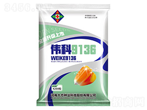 ��������-ΰ��9136--�д���ҵ