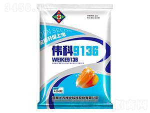 ΰ��9136-��������-�д���ҵ