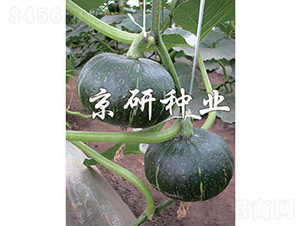 ���쾩����-�Ϲ�����-������ҵ