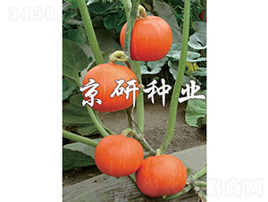 ���쾩����-�Ϲ�����-������ҵ