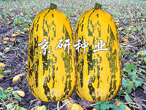 �����ѷ�3��-����«����-������ҵ