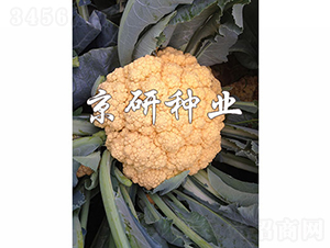 �Ȼ�1��-��Ҭ������-������ҵ