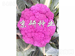 �ϻ�1��-��Ҭ������-������ҵ