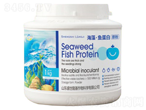 ���塤�㵰��ԭ��-ʢ��¡��