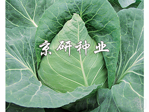 ţ��1��-��������-������ҵ