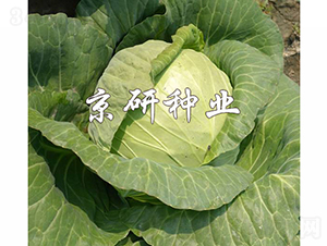 ����161-��������-������ҵ