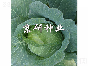 ���14-��������-������ҵ