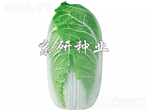 �������޲�-�ײ�����-������ҵ
