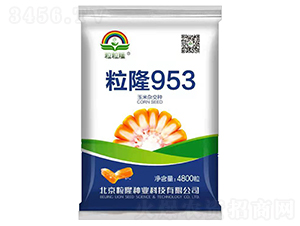��¡953-��������-����¡