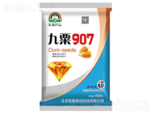 ����907-��������-����¡