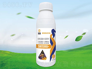 ֲ���ڷ��յ���-ʩ����