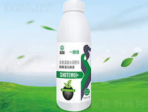 ø�⵰�׽���-һ����-ʩ����