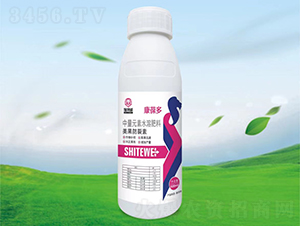 500ml����������-�����-ʩ����