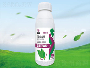 �ٺ϶���ֲ�����ߵ���-��Ҷ��-ʩ����