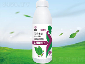 1000ml�ٺ϶���ֲ�����ߵ���-��Ҷ��-ʩ����