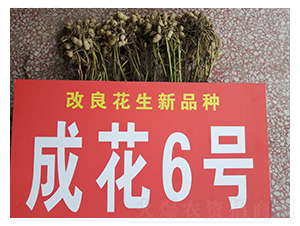 �ɻ�6��-��������-������ҵ