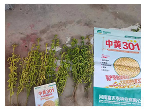 �л�301-������-������ҵ