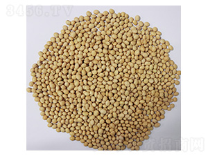 �л�61-������-������ҵ