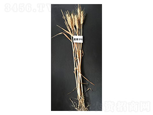 ����916-С������-������ҵ