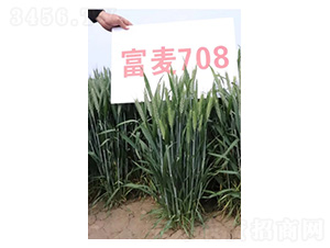 ����708-С������-������ҵ